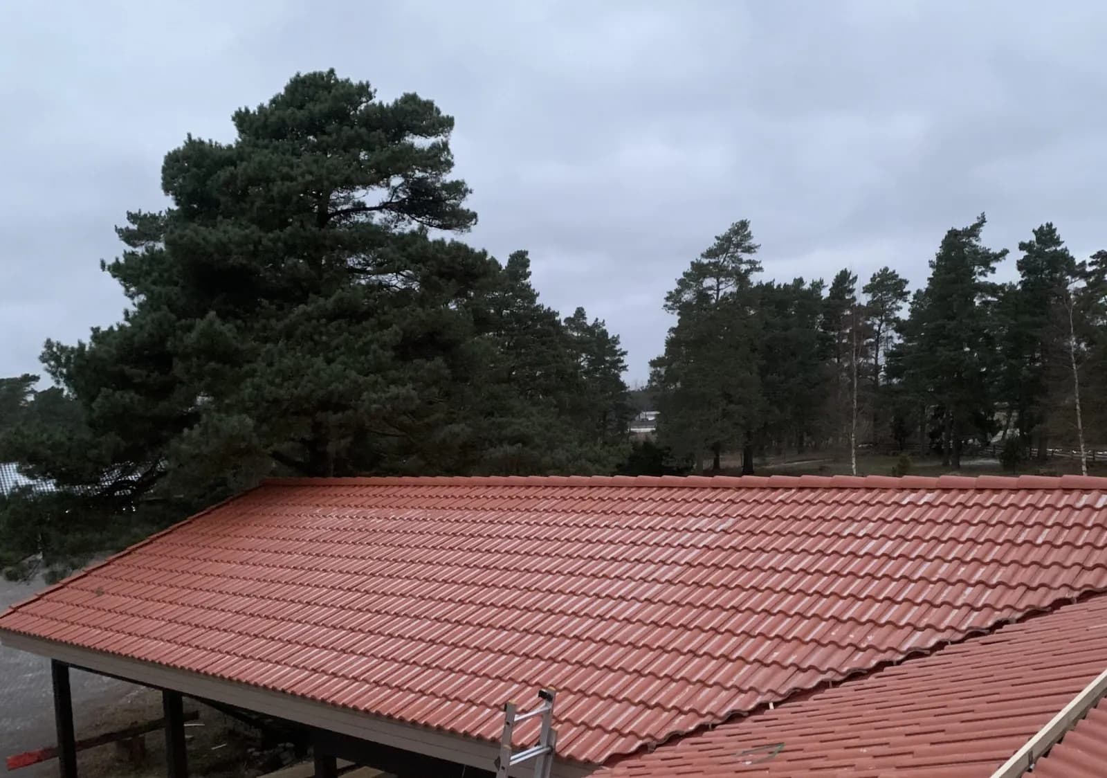 Punane katusekivi kate suurel kaldkatusel, vaade katuselt harja poole, männimets ja pilvine taevas taustal